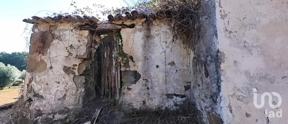 Moradia T3 em Carvalhal de 200 m²