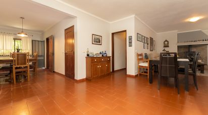 Ferme T3 à São Pedro de Tomar de 335 m²