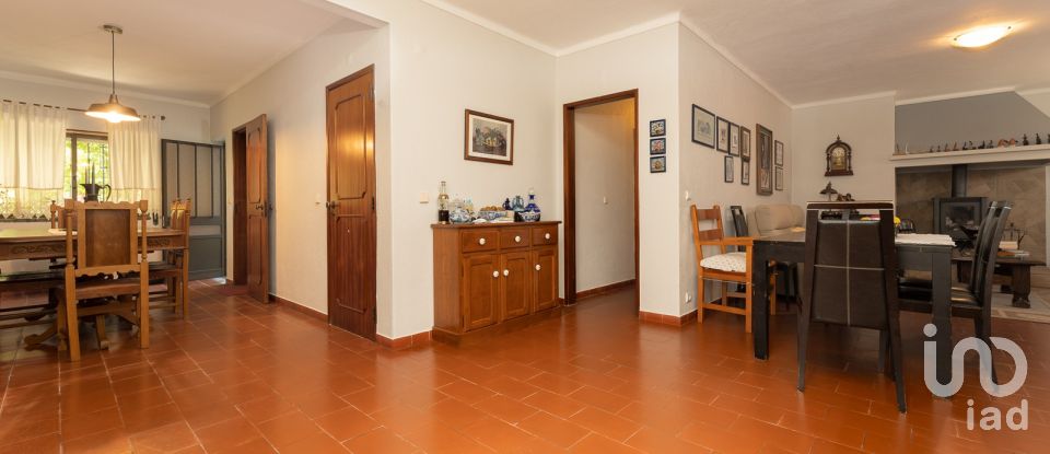 Farm T3 in São Pedro de Tomar of 335 m²