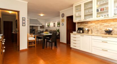 Ferme T3 à São Pedro de Tomar de 335 m²