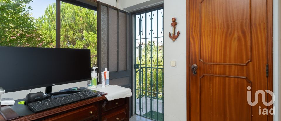 Farm T3 in São Pedro de Tomar of 335 m²