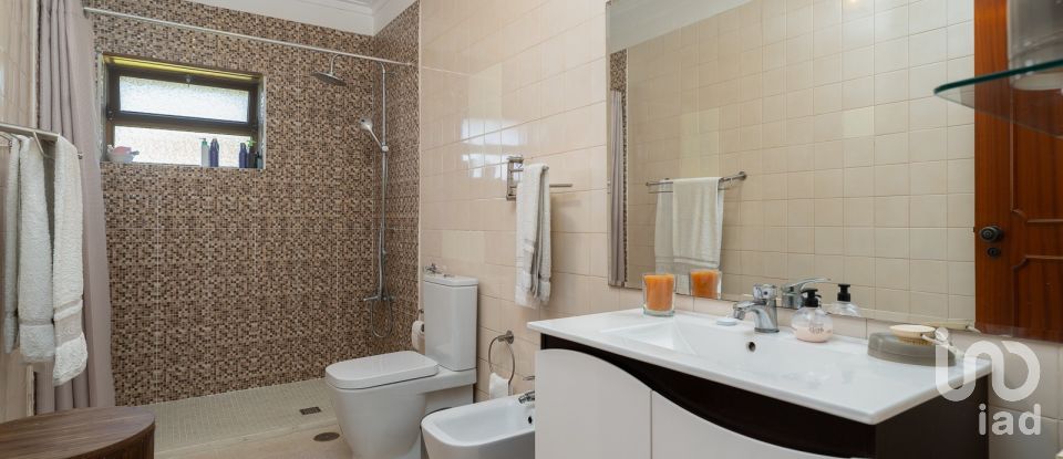 Farm T3 in São Pedro de Tomar of 335 m²