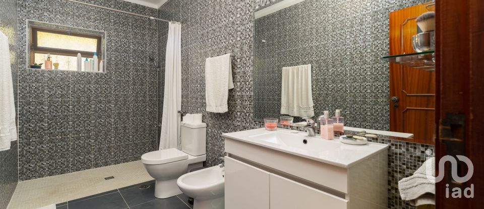 Farm T3 in São Pedro de Tomar of 335 m²