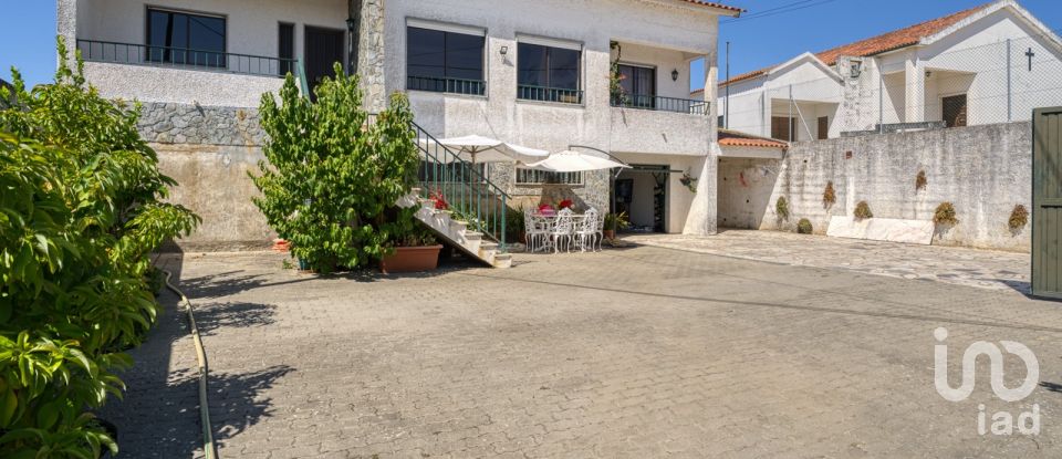 Farm T3 in São Pedro de Tomar of 335 m²