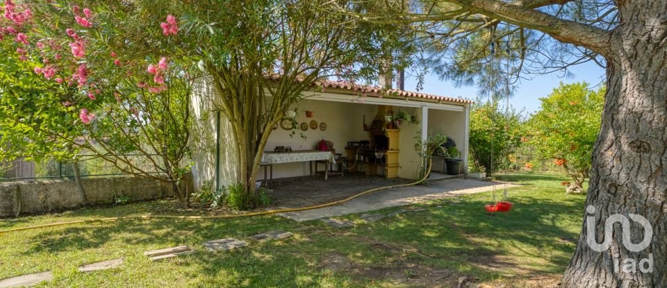 Farm T3 in São Pedro de Tomar of 335 m²