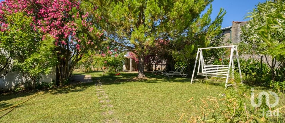 Farm T3 in São Pedro de Tomar of 335 m²