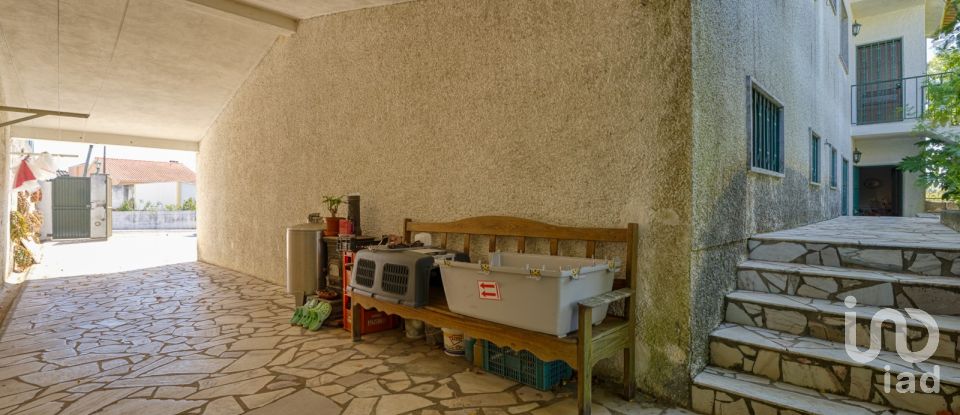 Farm T3 in São Pedro de Tomar of 335 m²