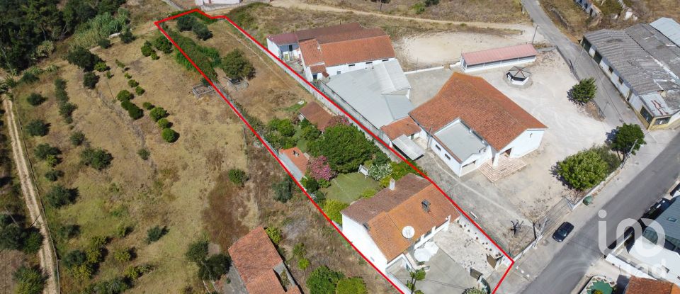 Farm T3 in São Pedro de Tomar of 335 m²