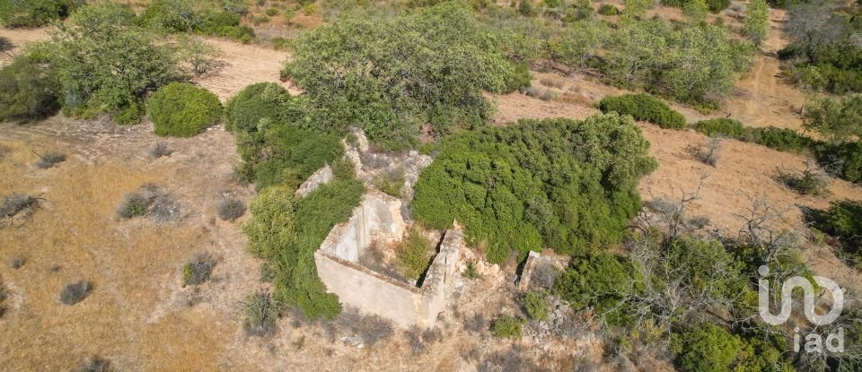 Terrain à Santa Bárbara de Nexe de 9 080 m²