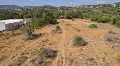 Terrain à Santa Bárbara de Nexe de 9 080 m²