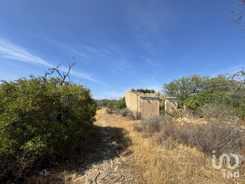 Terrain à Santa Bárbara de Nexe de 9 080 m²