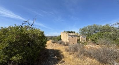 Terrain à Santa Bárbara de Nexe de 9 080 m²
