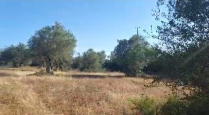 Terrain à bâtir à Alcácer do Sal (Santa Maria do Castelo e Santiago) e Santa Susana de 14 750 m²