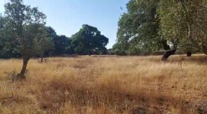 Terrain à bâtir à Alcácer do Sal (Santa Maria do Castelo e Santiago) e Santa Susana de 14 750 m²