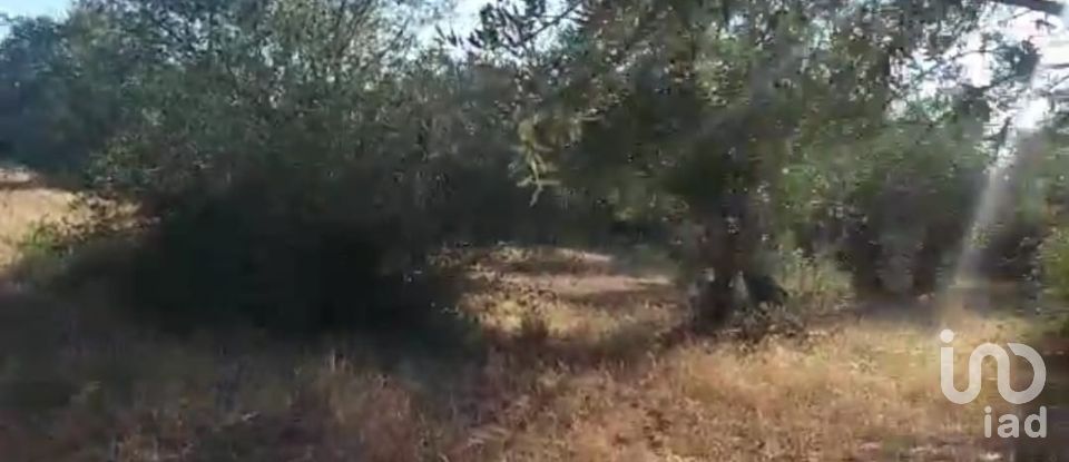 Terrain à bâtir à Alcácer do Sal (Santa Maria do Castelo e Santiago) e Santa Susana de 14 750 m²