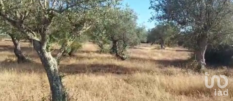 Terrain à bâtir à Alcácer do Sal (Santa Maria do Castelo e Santiago) e Santa Susana de 14 750 m²