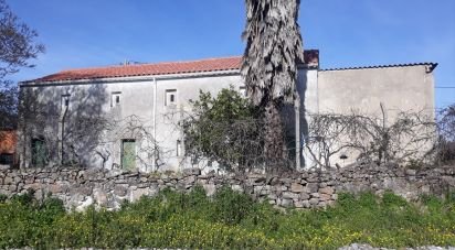 Ferme T0 à Santiago Maior de 80 m²