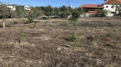 Terrain à bâtir à Rio de Couros e Casal dos Bernardos de 3 446 m²