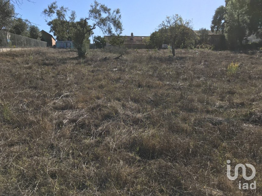 Terrain à bâtir à Rio de Couros e Casal dos Bernardos de 3 446 m²