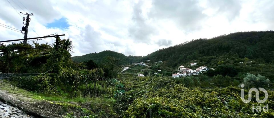 Moradia T3 em Freixo de Cima e de Baixo de 120 m²