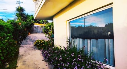 Maison traditionnelle T4 à Seixas de 200 m²