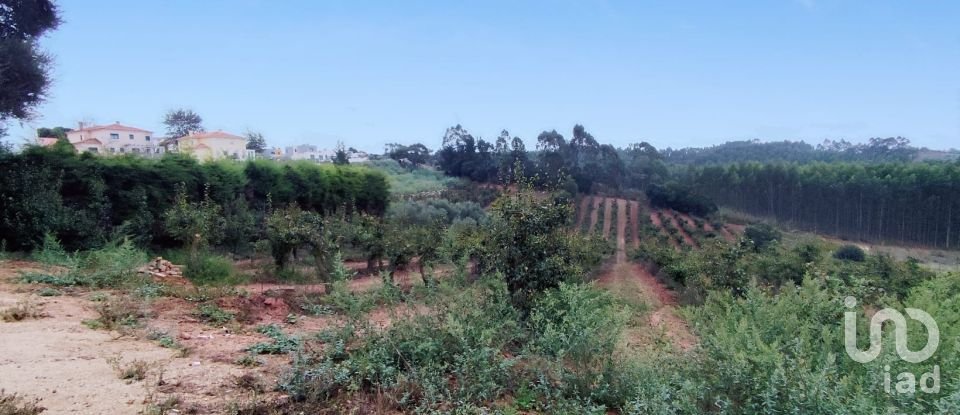 Terrain à Cadaval e Pêro Moniz de 4 574 m²