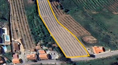 Terrain à Cadaval e Pêro Moniz de 4 574 m²