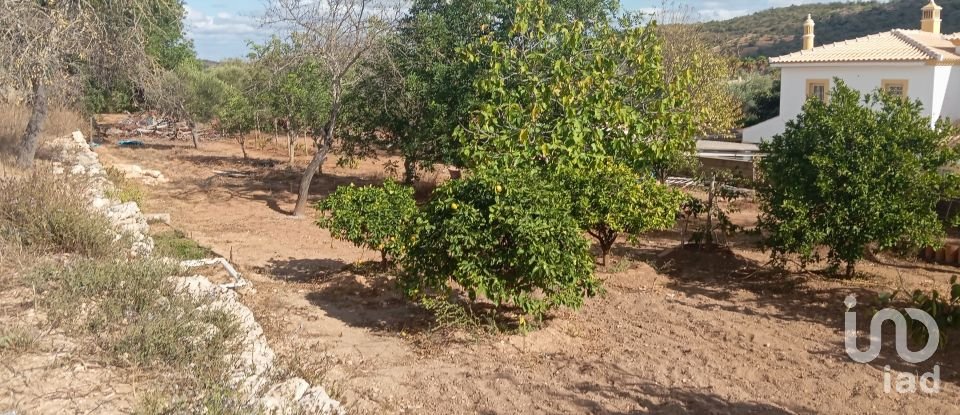 Terreno em Paderne de 1 000 m²