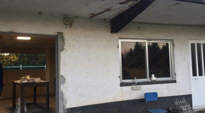 Terrain à Avanca de 4 990 m²