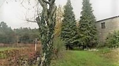 Ferme T6 à Esperança E Brunhais de 546 m²