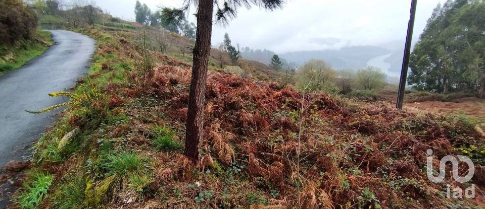 Terrain à Ventosa e Cova de 2 500 m²