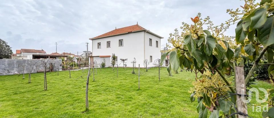 Lodge T3 in Antas of 270 m²