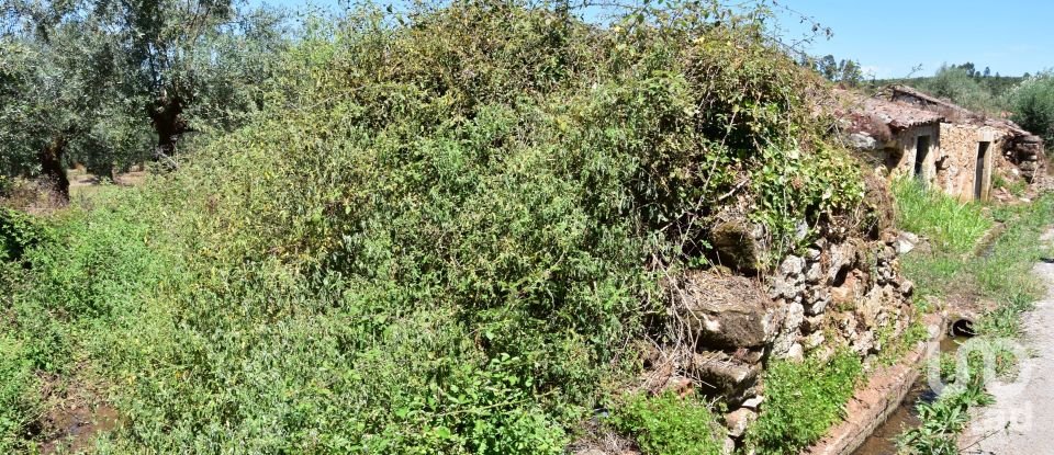 Maison rustique T1 à Areias e Pias de 65 m²