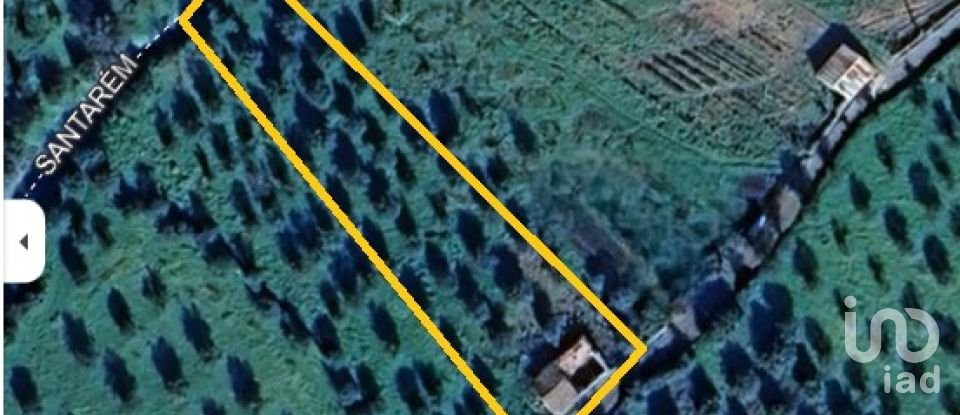 Maison rustique T1 à Areias e Pias de 65 m²