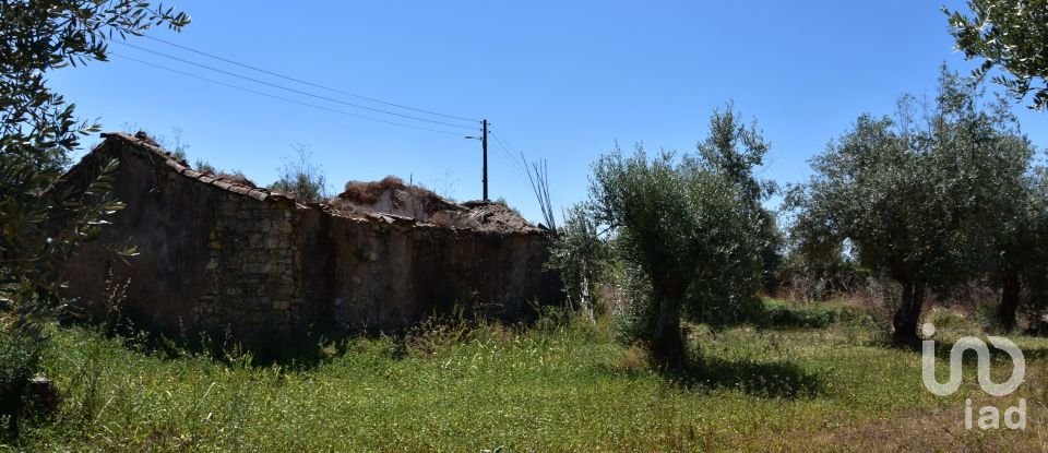 Maison rustique T1 à Areias e Pias de 65 m²