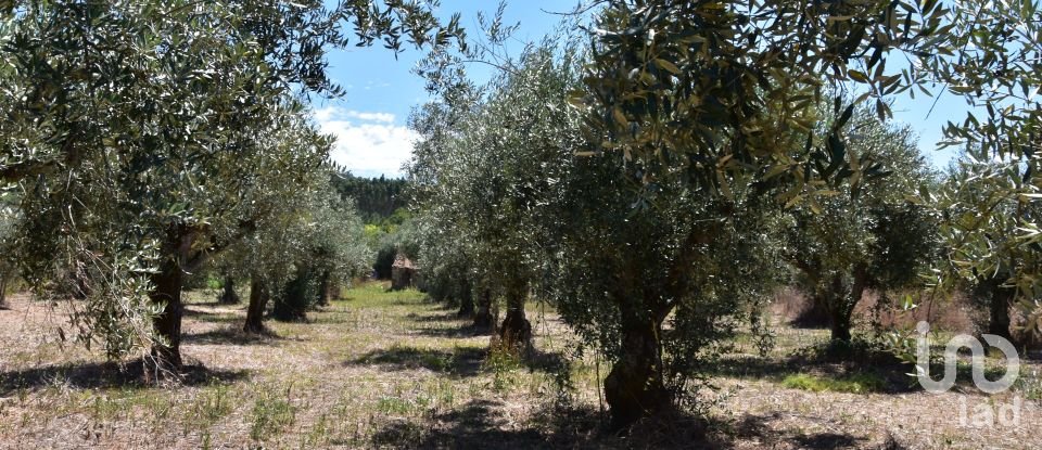 Maison rustique T1 à Areias e Pias de 65 m²