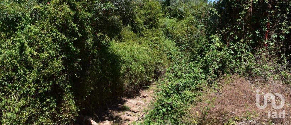 Maison rustique T1 à Areias e Pias de 65 m²