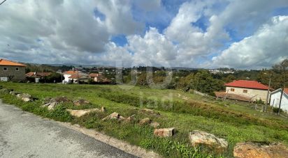 Terrain à Bustelo de 4 300 m²