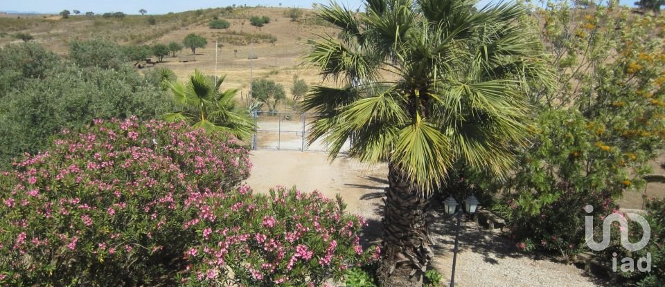 Farm T3 in Amieira E Alqueva of 322 m²