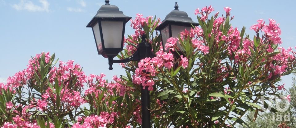 Farm T3 in Amieira E Alqueva of 322 m²