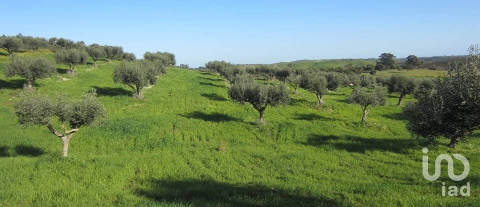 Farm T3 in Amieira E Alqueva of 322 m²