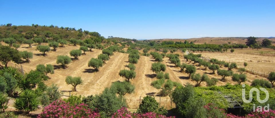 Farm T3 in Amieira E Alqueva of 322 m²
