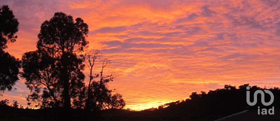 Farm T3 in Amieira E Alqueva of 322 m²