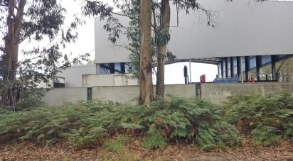 Terrain à Bagunte, Ferreiró, Outeiro Maior e Parada de 26 000 m²