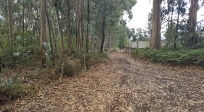 Terrain à Bagunte, Ferreiró, Outeiro Maior e Parada de 26 000 m²