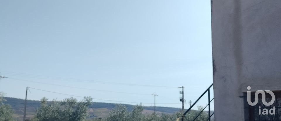 Farm land in Freixo de Espada à Cinta e Mazouco of 36,418 m²