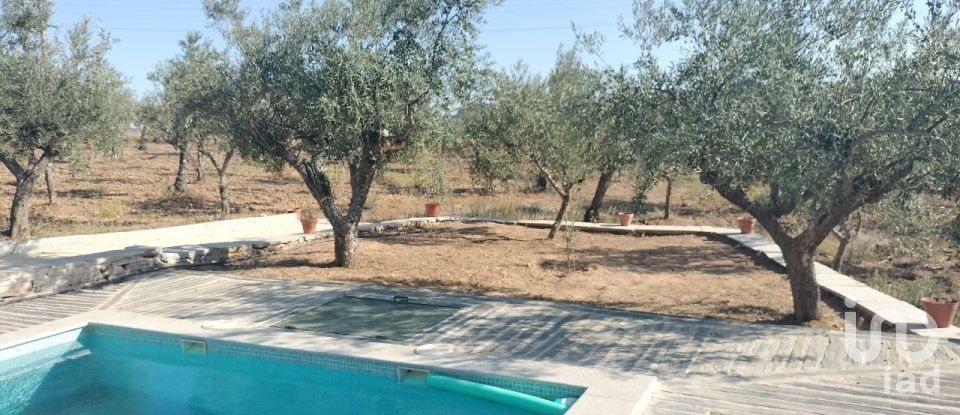 Farm land in Freixo de Espada à Cinta e Mazouco of 36,418 m²