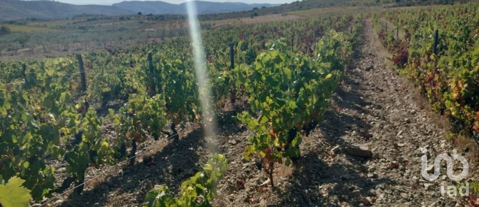 Farm land in Freixo de Espada à Cinta e Mazouco of 36,418 m²