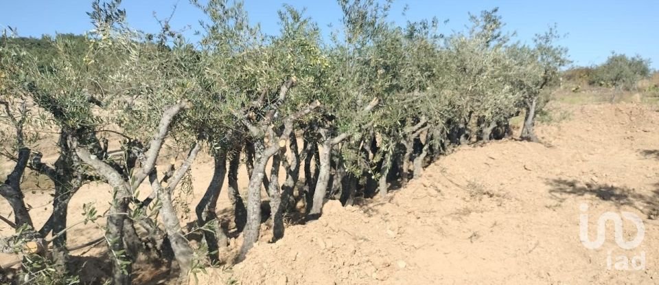 Farm land in Freixo de Espada à Cinta e Mazouco of 36,418 m²