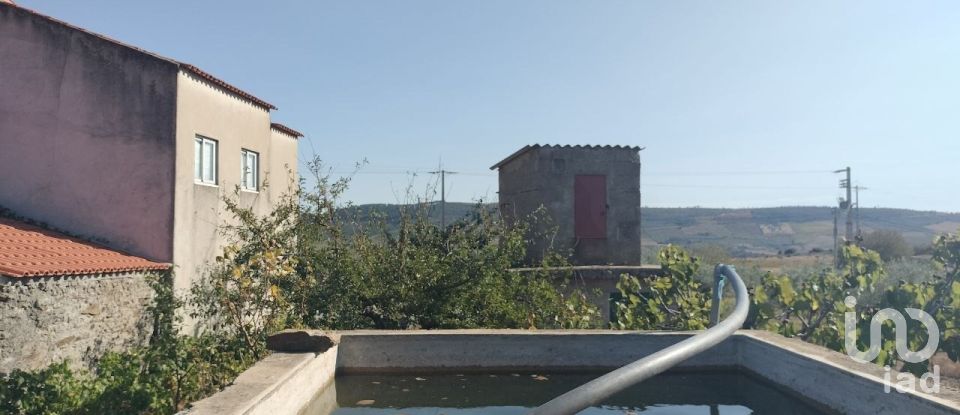 Farm land in Freixo de Espada à Cinta e Mazouco of 36,418 m²